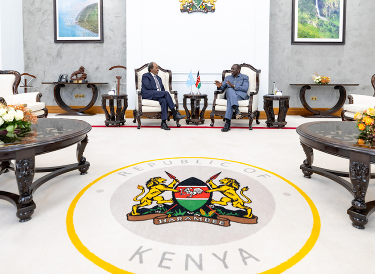 President William Ruto holds talks with President Hassan Mohamud of Somalia at State House, Nairobi, April 11, 2024.